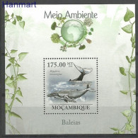Mozambique 2010 Mi Block 312 MNH  (LZS6 MZBbl312) - Other & Unclassified