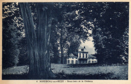 Mirebeau Sur Beze Sous Bois Et Chateau - Mirebeau