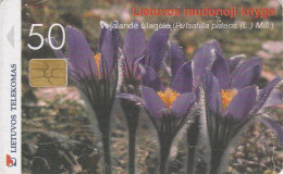 Lithuania, LTU-C43, Pasque-Flower, 2 Scans. - Lithuania