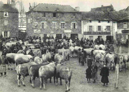 Reproduction CPA - 07 Saint Agrève - La Foire Aux Bœufs Gras - 1912 - Collection Il était Une Fois L'Auvergne Et Les Cév - Saint Agrève