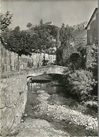 48 - Meyrueis - Vieux Pont Sur Le Bétuzon - Au Fond Le Rocher De La Vierge - Mention Photographie Véritable - Carte Dent - Meyrueis