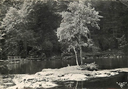 68 - Munster - Vallée De Munster - Le Fischboedle - CPSM Grand Format - Voir Scans Recto-Verso - Munster