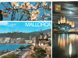 Espagne - Espana - Islas Baleares - Palma De Mallorca - Multivues - CPM - Voir Scans Recto-Verso - Palma De Mallorca