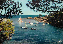 83 - Les Issambres - Les Calanques - Echappée Entre Les Pins - Voiliers - Voiles - CPM - Voir Scans Recto-Verso - Les Issambres