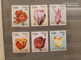 1982	Cuba	Flowers (F89) - Unused Stamps