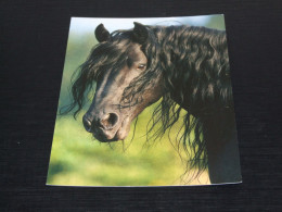 74824-      FRISIAN HORSE / HORSES / PFERDE / CAVALLI / CHEVAUX / CABALLOS - Pferde