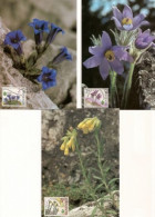 CM 56-8 Slovakia Protected Flowers 1995 - Other & Unclassified