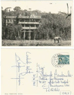 Kenya Treetops Hotel With Elephant In Nyeri B/w PPC 30dec1963 To Italy With C.65 Solo - Africa
