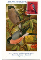 OISEAU / BOUVREUIL = ALLEMAGNE 1963 N° 275 = CARTE MAXIMUM + INSTITUT ROYAL De BELGIQUE - Uccelli Canterini Ed Arboricoli