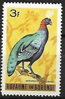 Burundi - MNH ** 1965 :  Congo Peafowl  -  Afropavo Congensis - Gallináceos & Faisanes