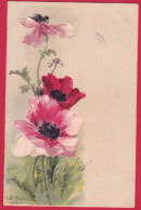 AD674 C.KLEIN FLEURS ANEMONES CIRCULEE - Klein, Catharina