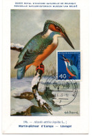 OISEAU / MARTIN PECHEUR = ALLEMAGNE 1963 N° 276 = CARTE MAXIMUM + INSTITUT ROYAL De BELGIQUE - Other & Unclassified