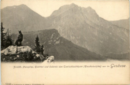 Gesäuse, Zinnödl, Planspitze, Hochthor Und Oedstein - Gesäuse