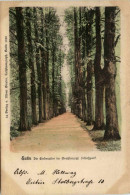 Eutin - Die Lindenallee - Eutin