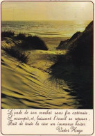 1-62000 02 01 - LITTORAL DE LA MANCHE ET DE LA MER DU NORD - CONTRE JOUR DANS LES DUNES - Sangatte