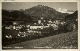 Mariazell/Steiermark - Mariazell, Gemeindealpe U. Oetscher - Mariazell