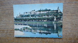 Chinon , Vue D'ensemble Du Château - Chinon