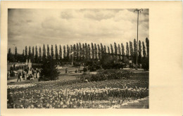 Berlin-Charlottenburg - Sommerblumen Am Funkturm 1942 - Charlottenburg