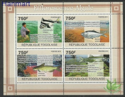 Togo 2011 Mi 3864-3867 MNH  (ZS5 TGOark3864-3867) - Protección Del Medio Ambiente Y Del Clima