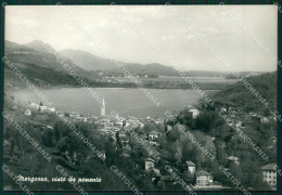 Verbania Mergozzo COLLA Foto FG Cartolina ZK6525 - Verbania