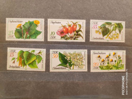 1978	Germany	Flowers (F89) - Nuovi