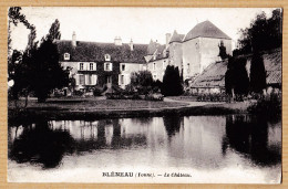 21836 / ⭐ BLENEAU Yonne Le Château Côté Jardin Parc Et Lac 1920s Edition COSSON - Bleneau