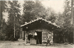 Achensee/Tirol Und Umgebung - Hütte Im Wald - Achenseeorte