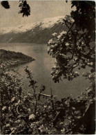 Hardanger - Uliensvang - Noorwegen