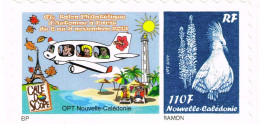 NOUVELLE CALEDONIE NEW CALEDONIA Timbre A Moi Personnalis Public YT 1207 TPNC24 Salon Paris Avion  2014 Ramon Neuf B - Ungebraucht