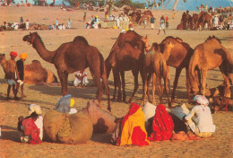 INDE - Camel Market - Rajastan - India - Vue Générale - Animé - Dromadaires - Carte Postale Ancienne - Inde