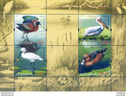 Fauna. Uccelli 2011. - Moldawien (Moldau)