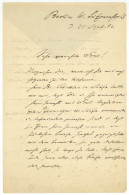 Germanistik Albert Bielschowsky (1847-1902) Goetheforscher Berlin 1892 Autograph Auf Der Jagd Nach Goethebriefen - Erfinder Und Wissenschaftler