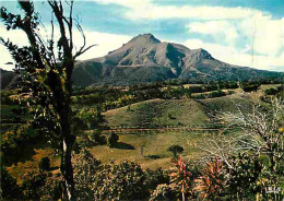 Martinique - Le Morne Rouge - La Montagne Pelee - CPM - Voir Scans Recto-Verso - Autres & Non Classés