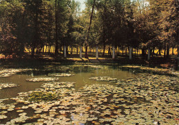 FRANCE - Barbotan Les Thermes (Gers) - Un Coin Du Parc Avec Les Nénuphars - Carte Postale Ancienne - Barbotan