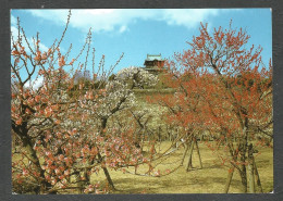 A Plum Blossom Garden - Osaka Castle - OSAKA - JAPAN - - Osaka