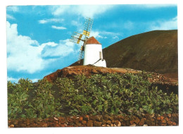 TYPICAL WINDMILL - LANZAROTE - CANARY ISLANDS -  SPAIN - - Windmolens