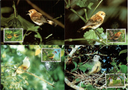 Cook Islands 1989 Mi 1278-1281  Max Card  (MAX ZS7 CKI1278-1281) - Pájaros Cantores (Passeri)