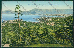 Trieste Vino China Ferruginoso Serravallo Pubblicitaria Palermo Cartolina ZC0966 - Trieste (Triest)