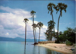 MALAWI - Palm Beach Lake Malawi - Malawi