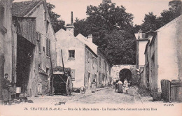 Chaville - Rue De La Mare Adam - Fausse Porte Donnant Acces Au Bois -   CPA °J - Chaville