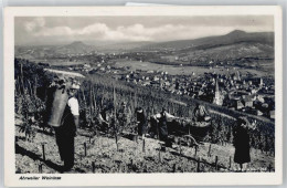 50607504 - Ahrweiler WEinlese - Other & Unclassified