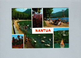 Nantua (01) : Le Lac - Nantua