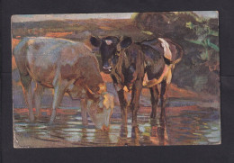 1908 - 5 Pf. Privat-Ganzsache "2 Kühe An Wasserloch" - Ab München - Boerderij