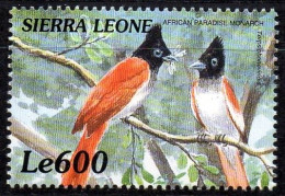 SIERRA LEONE 2000 - 1v - MNH - Birds Of Africa - African Paradise Flycatcher - Terpsiphone Viridis - Oiseaux - Vögel - Uccelli Canterini Ed Arboricoli