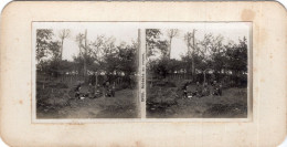 Photo Stereoscopique  , Soldats Au Repos - 1914-18