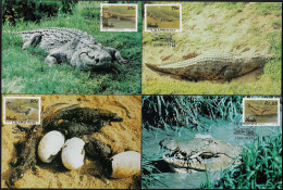 Venda 1992 Y&T 245 à 248 Sur Carte Maximum. Crocodile Du Nil, Crocodylus Niloticus - Sonstige & Ohne Zuordnung