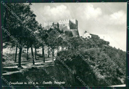 Campobasso Città Foto FG Cartolina ZKM7504 - Campobasso