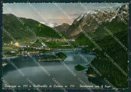 Belluno Domegge Foto FG Cartolina ZKM7135 - Belluno