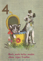 PERRO Animales Vintage Tarjeta Postal CPSM #PBQ679.ES - Hunde