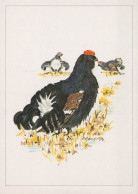 UCCELLO Animale Vintage Cartolina CPSM #PAN208.IT - Birds